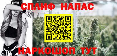 PSILOCYBIN Краснодар